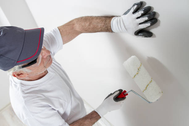 Best Industrial Mold Remediation  in Florence, AZ