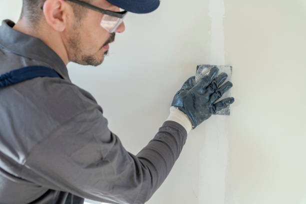 Best Mold Remediation for Healthcare Facilities  in Florence, AZ