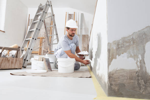 Best Post-Construction Mold Inspection  in Florence, AZ