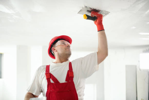 Best Crawl Space Mold Remediation  in Florence, AZ