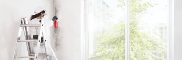 Florence, AZ Mold Removal Company