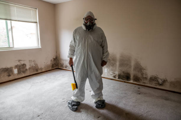 Biohazard Mold Removal in Florence, AZ
